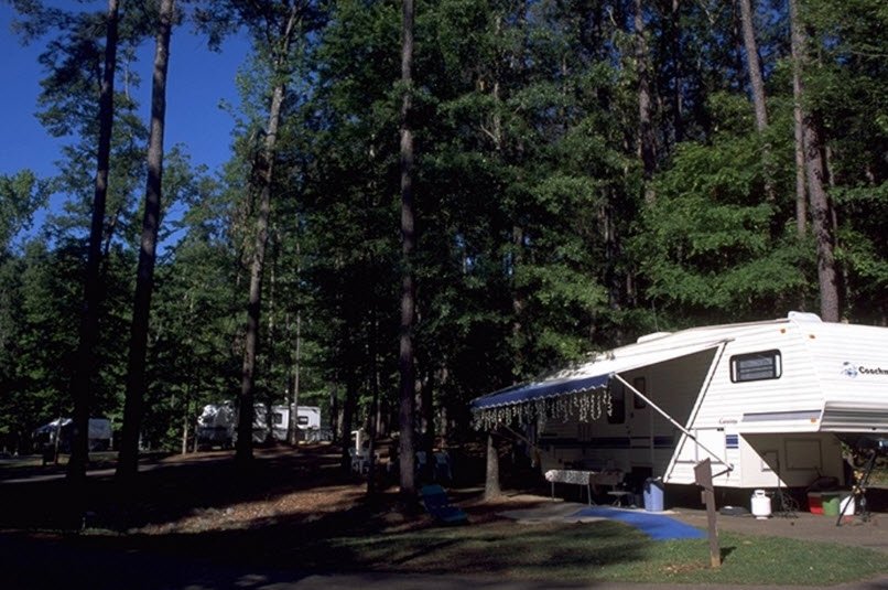 Lake D'Arbonne State Park, Louisiana, USA